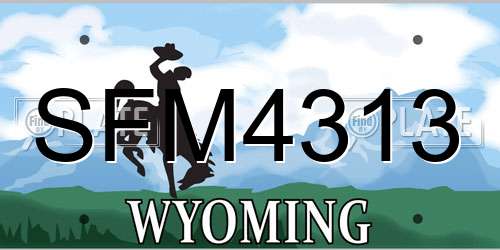 SFM4313 Wyoming License Plate