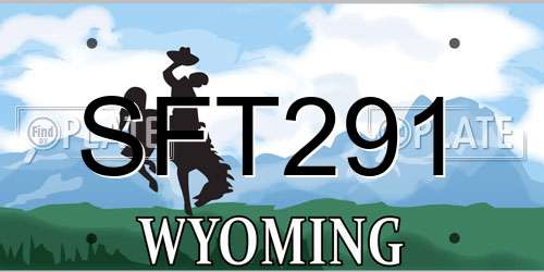 SFT291 Wyoming License Plate