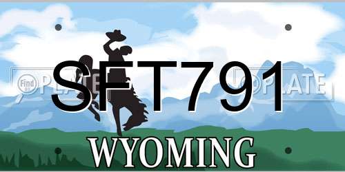 SFT791 Wyoming License Plate