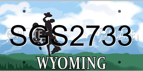 SGS2733 Wyoming License Plate