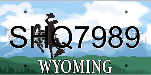 SHQ7989 Wyoming License Plate