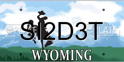 SI2D3T Wyoming License Plate