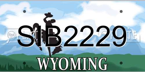SIB2229 Wyoming License Plate