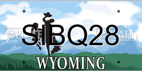 SIBQ28 Wyoming License Plate