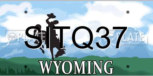 SITQ37 Wyoming License Plate