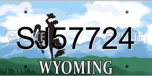 SJ57724 Wyoming License Plate