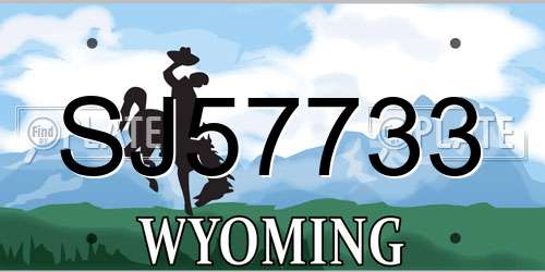 SJ57733 Wyoming License Plate
