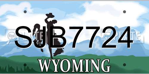 SJB7724 Wyoming License Plate