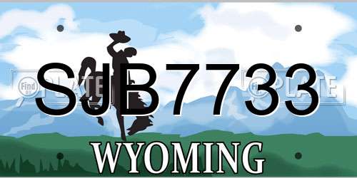 SJB7733 Wyoming License Plate