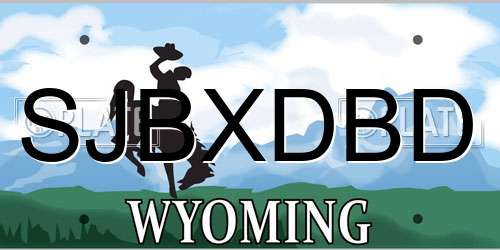SJBXDBD Wyoming License Plate
