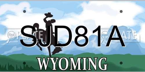 SJD81A Wyoming License Plate