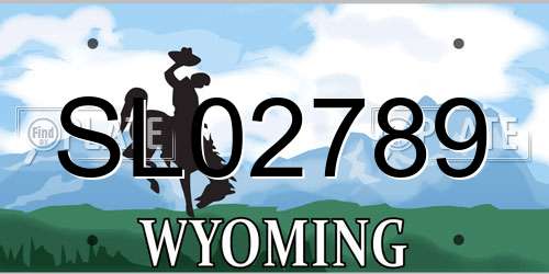 SL02789 Wyoming License Plate