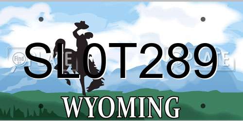 SL0T289 Wyoming License Plate