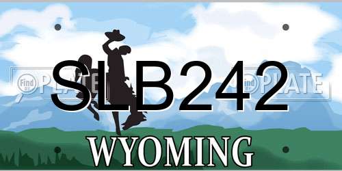 SLB242 Wyoming License Plate