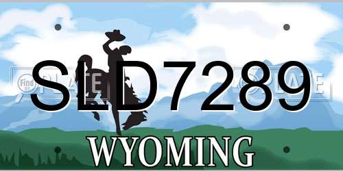 SLD7289 Wyoming License Plate