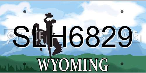 SLH6829 Wyoming License Plate