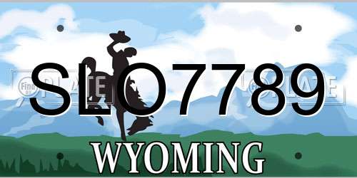SLO7789 Wyoming License Plate
