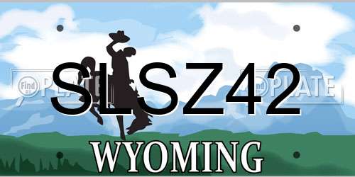 SLSZ42 Wyoming License Plate