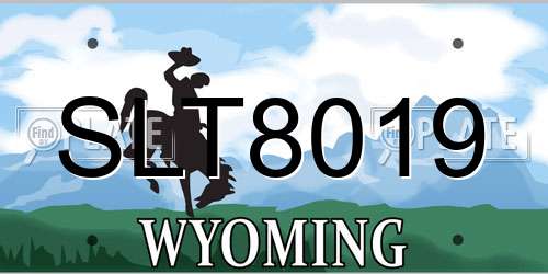 SLT8019 Wyoming License Plate