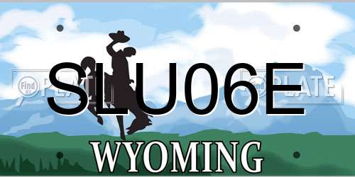 SLU06E Wyoming License Plate