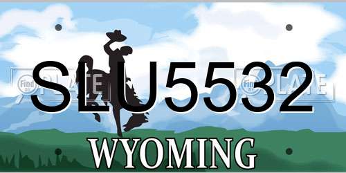 SLU5532 Wyoming License Plate