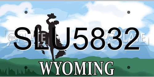 SLU5832 Wyoming License Plate