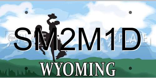 SM2M1D Wyoming License Plate