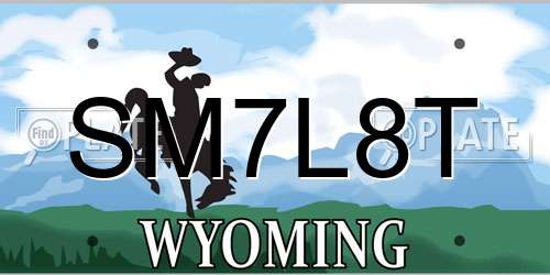 SM7L8T Wyoming License Plate