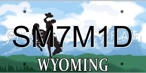 SM7M1D Wyoming License Plate