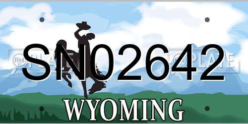 SN02642 Wyoming License Plate