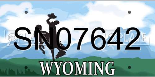 SN07642 Wyoming License Plate