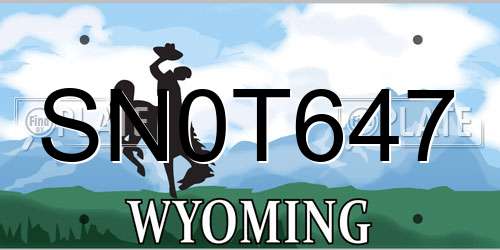 SN0T647 Wyoming License Plate
