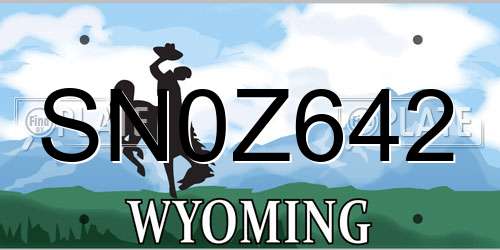 SN0Z642 Wyoming License Plate