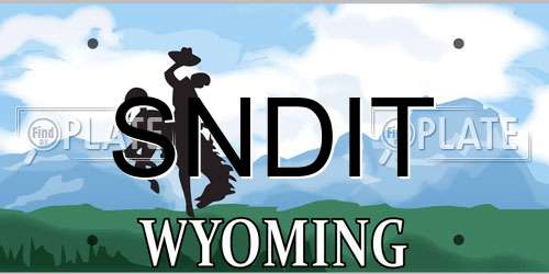 SNDIT Wyoming License Plate