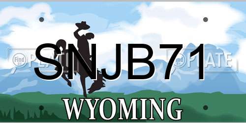SNJB71 Wyoming License Plate