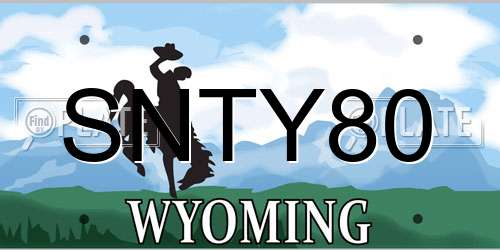 SNTY80 Wyoming License Plate