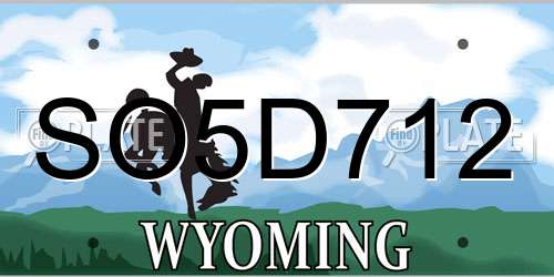 SO5D712 Wyoming License Plate