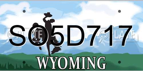 SO5D717 Wyoming License Plate
