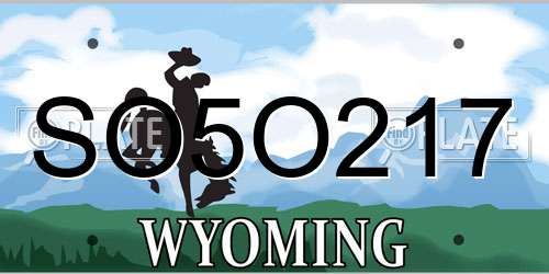 SO5O217 Wyoming License Plate