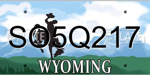 SO5Q217 Wyoming License Plate