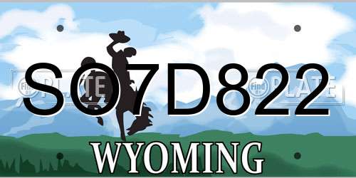 SO7D822 Wyoming License Plate