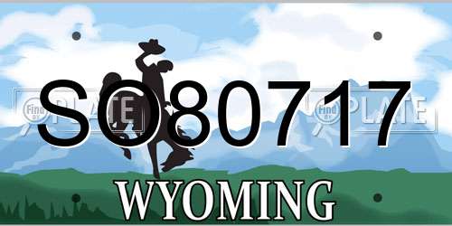 SO80717 Wyoming License Plate