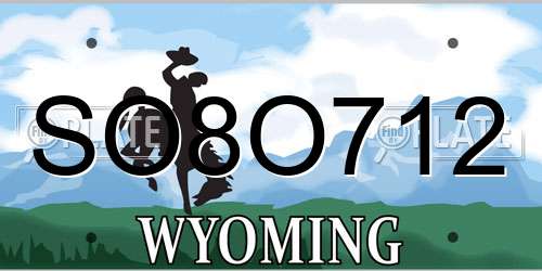 SO8O712 Wyoming License Plate