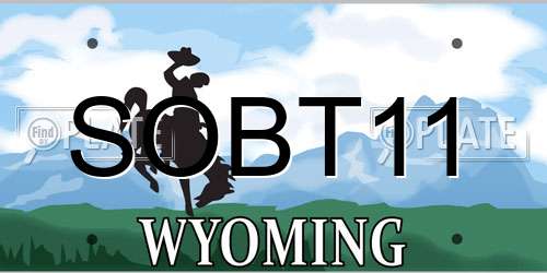 SOBT11 Wyoming License Plate