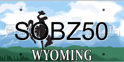 SOBZ50 Wyoming License Plate