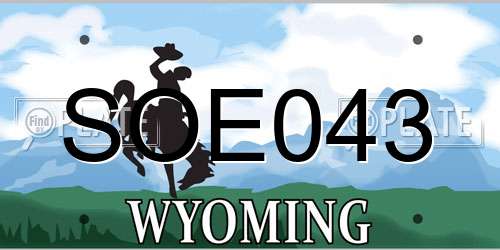 SOE043 Wyoming License Plate