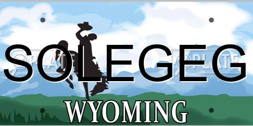 SOLEGEG Wyoming License Plate