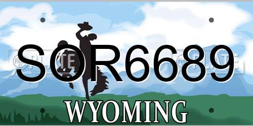 SOR6689 Wyoming License Plate