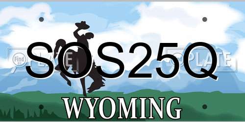 SOS25Q Wyoming License Plate