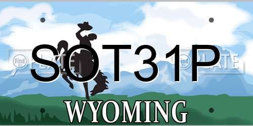 SOT31P Wyoming License Plate